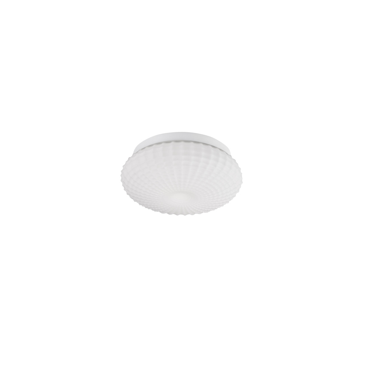 Nova Luce Badezimmerleuchte Clam