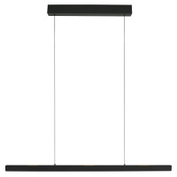 Steinhauer Exclusive Pendelleuchte Fluxy